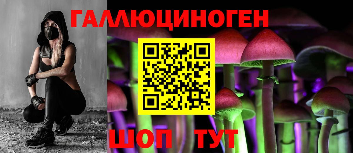 Сургут  Галлюциногенные грибы GOLDEN TEACHER  Вход с VPN 