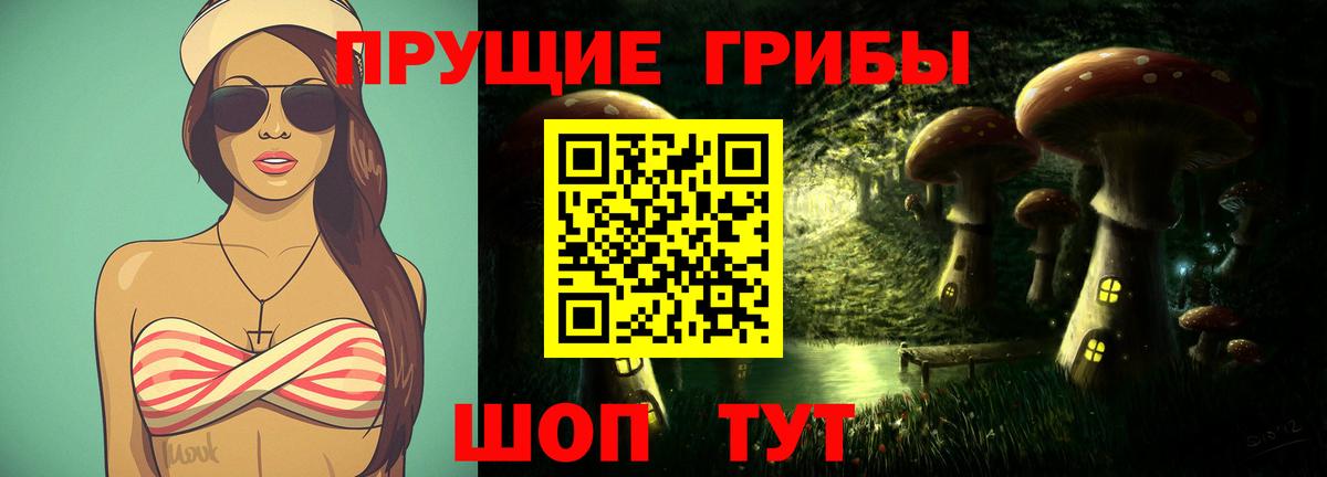 Галлюциногенные грибы Psilocybe Сургут