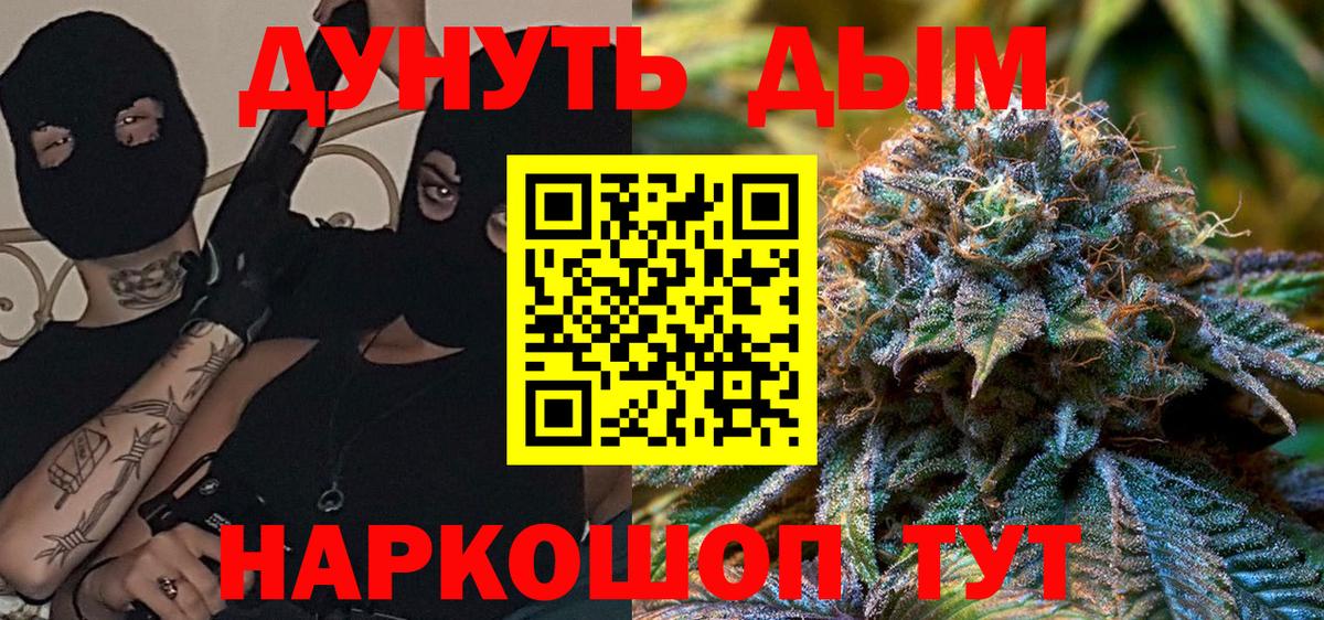 Конопля конопля Сургут